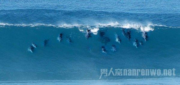 装甲坦克大战无敌版