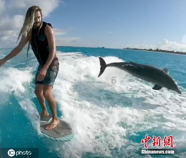 救援猫与武士